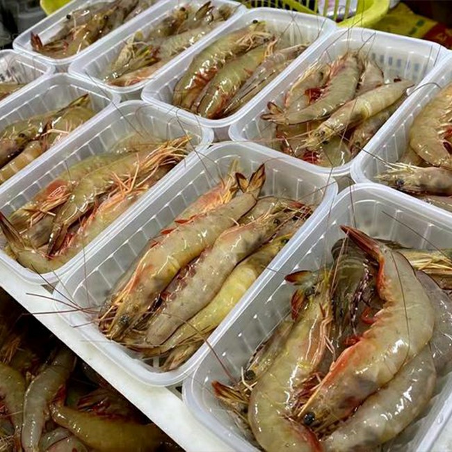 天然海白虾.jpg